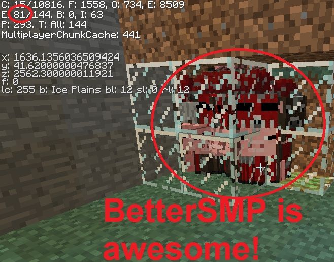 BetterSMP.jpg